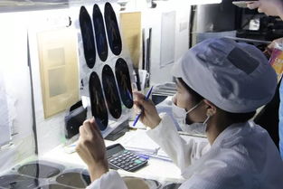 色彩大會第二日 眾企業齊聚思明通崯濤油墨工廠，實地參觀學習與深度技術交流